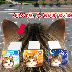 【3Dワールド・環境】巨大猫の頭の上　360°スカイドーム(ローポリ)