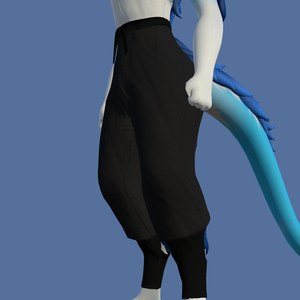 Ninja pants for the Nardoragon