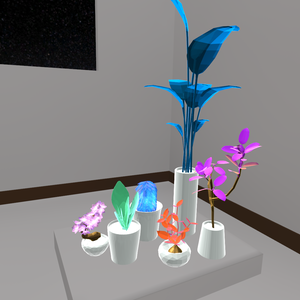 観葉植物(固そう