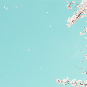 【ココフォリア素材】そこそこ散る桜パーティクルAPNG