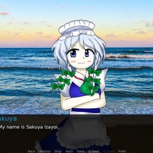 I Am Sakuya: Touhou FPS Game - sigyaad - BOOTH