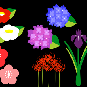 和風の花（椿、梅、菖蒲、彼岸花、紫陽花）