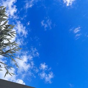 🎉一ヶ月100円SALE🎉【4set Skybox】朝涼の空Skybox/ Skyboxマテリアル Unityパッケージ