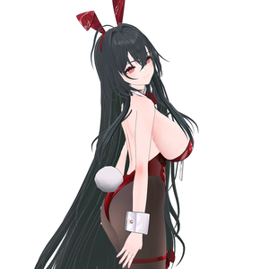 Taiho(Bunny) R18 V1.0