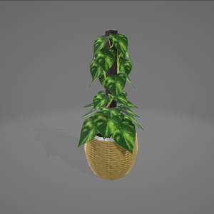 【3D観葉植物】ポトス