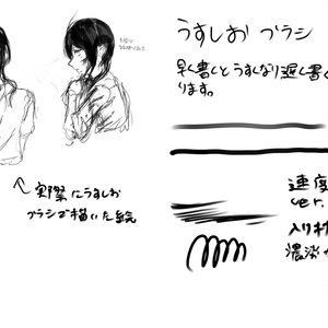 うすしおブラシ