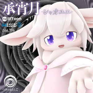 【セール中】オリジナル3Dモデル 〇シャオユエ/Xiaoyue〇
