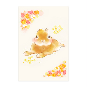 Postcards (10 cards) | Order