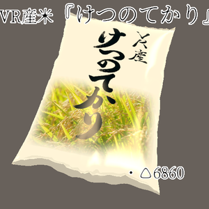 VRChat想定・VR産米『けつのてかり』