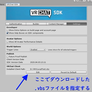 VRChat LocalTest launch aid script