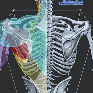 【製本版】C107新刊「Foci 2 -shoulder girdle-」
