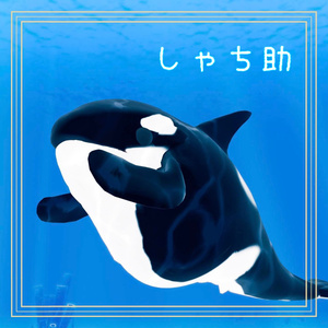 【無料】しゃち助（オリジナル3Dモデル・VRChat）