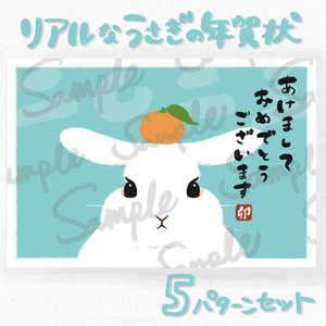 リアルなうさぎのイラスト年賀状 5パターンセット水色（タテ3種＋横2種）