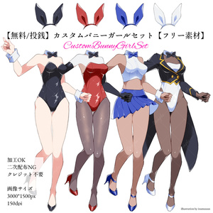 【無料/投銭】カスタムバニーガールセット【フリー素材】