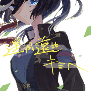 遥か遠きキミへ