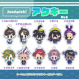 非公式〛スグリ（DLC後編ver.）アクリルキーホルダー - あたら夜