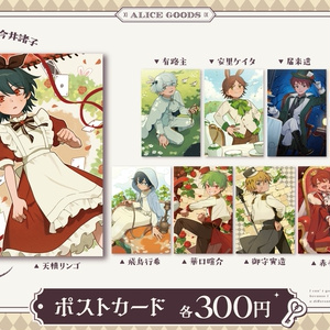 点滅・ナイトライダー機能付き14連ジャック式孔雀作成キット