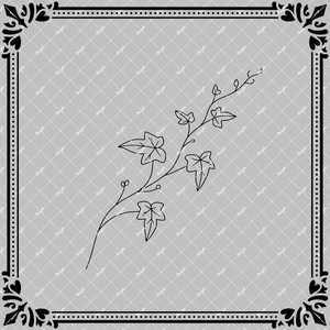 タトゥーデカール：ivy1
