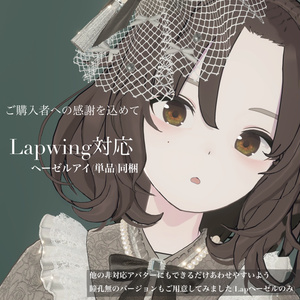 Rare Eyes【しずくさん専用】【Lapwing一部対応】 缩略图 8