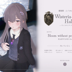 Evermere Academy(エヴァーミア・アカデミー) -制服- 缩略图 12