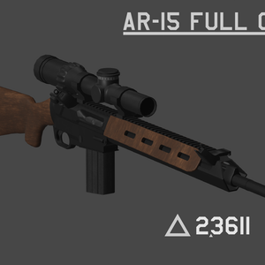 AR-15 full custom