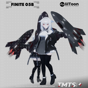 FINITE 05B【ブースターユニット】