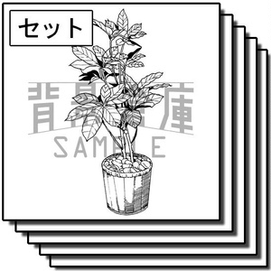 自然物の背景集_セット2(観葉植物)