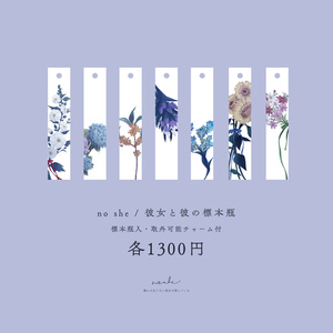 彼女と彼の標本瓶