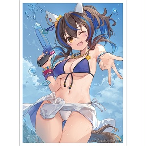 ヘリオススリーブ