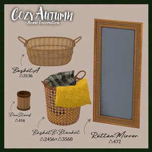 🍂Cozy Autumn🍂 Rattan Set