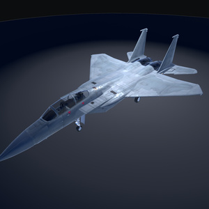 《VRChat想定》B-F15N＋B-F15SE　二機種セット！《飛行可能モデル》 缩略图 8