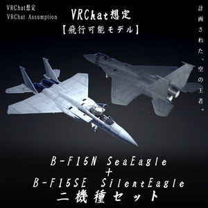 《VRChat想定》B-F15N＋B-F15SE　二機種セット！《飛行可能モデル》