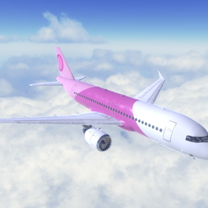 《VRChat想定》旅客機　B-A320《飛行可能モデル》 缩略图 14