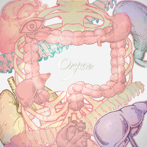 【素材集】内臓/Organ