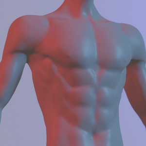 3D可動胴体モデル