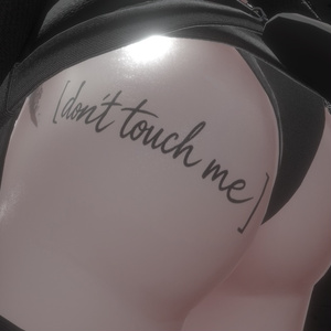 『don't touch me』タトゥー用　デカール　tatoo