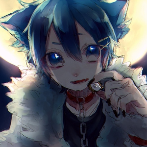 凸凹理論 CD（通販特典込み） - でこぼこストア（BOOTH店） - BOOTH