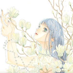 【額装原画】白木蓮の香り