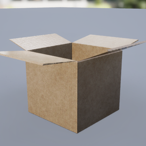 Cardboard Box