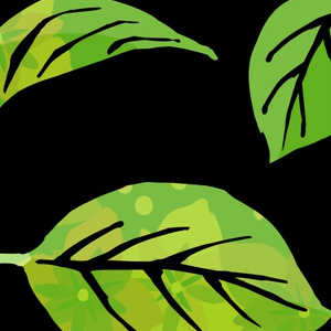 【無料版あり】紫陽花素材集