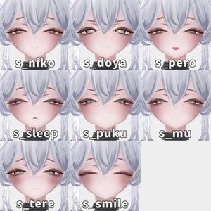 【しお/Sio】Face Blendshape + 17 Animation 缩略图 3