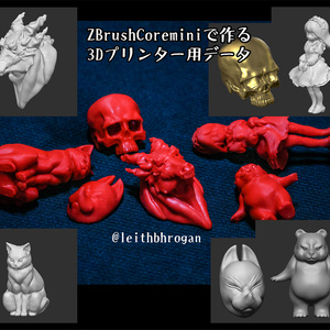 ZBrushCoremini製　obj/stlデータ