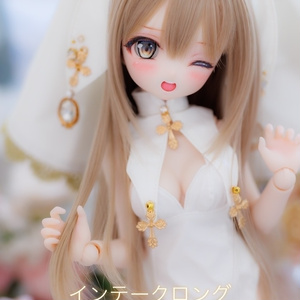 SD&DD、13、17少年用◇洋書風豆本◇Aeneis - 聖魔離宮 - BOOTH