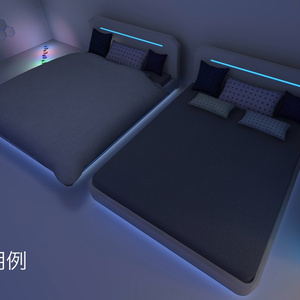 SF BED 缩略图 3