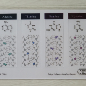 理系シリーズ＊DNAしおりセット＊