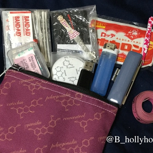 ポリフェノールポーチ