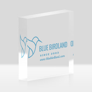 アクリルブロック 10cmx10cm Type-B