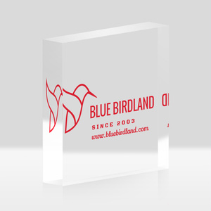 アクリルブロック 10cmx10cm Type-C