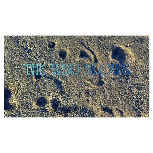 Visual Fragment 005
