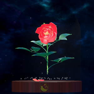 薔薇のスノードーム